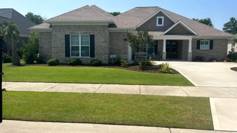 Give Your Lawn a Good Spring Cleanup