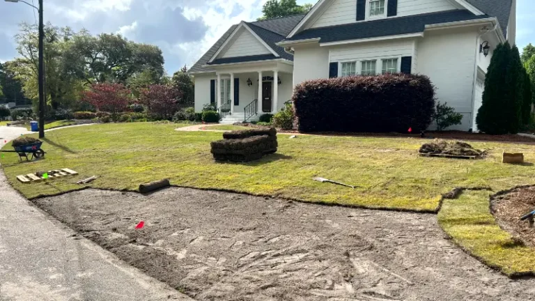 Should You Install Your New Lawn Using Seed Or Sod?